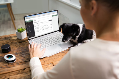 woman looking at computer with dog